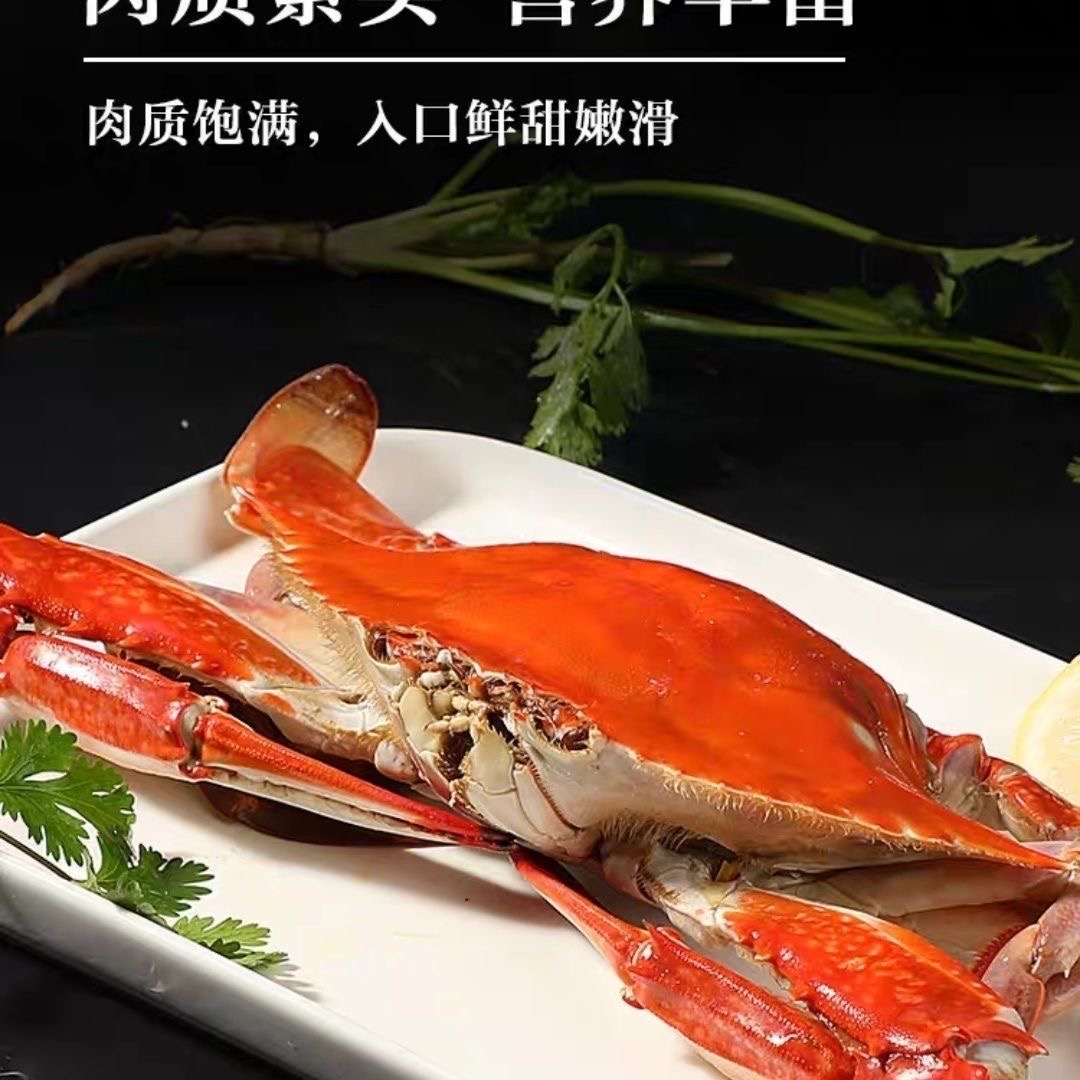 【保鲜不保活】本地渤海湾硬黄大母蟹（单只5-7两 2~6斤）
