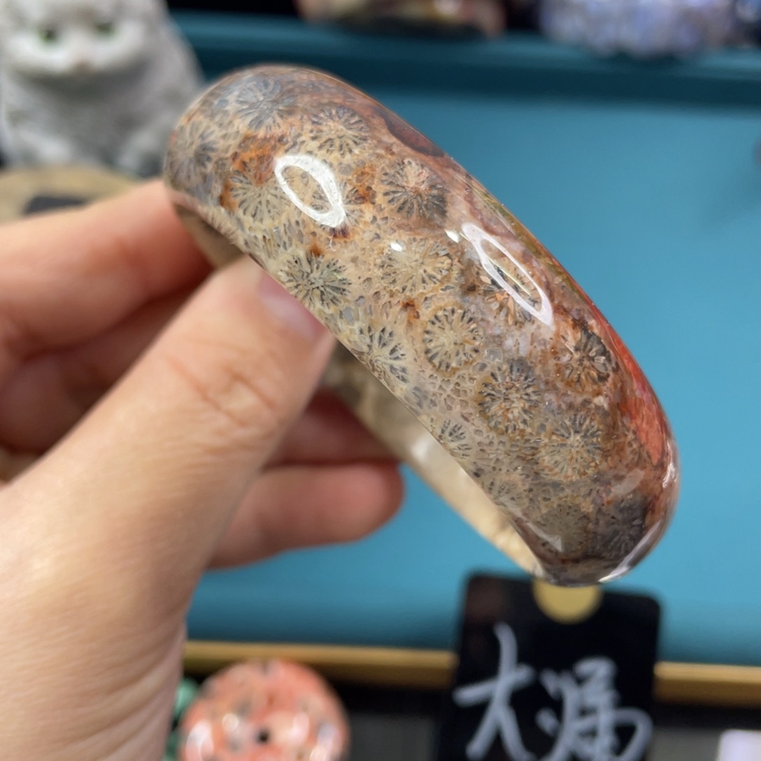 未镶嵌手镯硅化玉