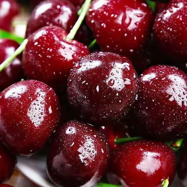 12.21【顺丰包邮】净重5斤2JD-4JD大果加大加黑智利进口空运车厘子新鲜头茬货内附果径卡桑提娜樱桃智利共和国