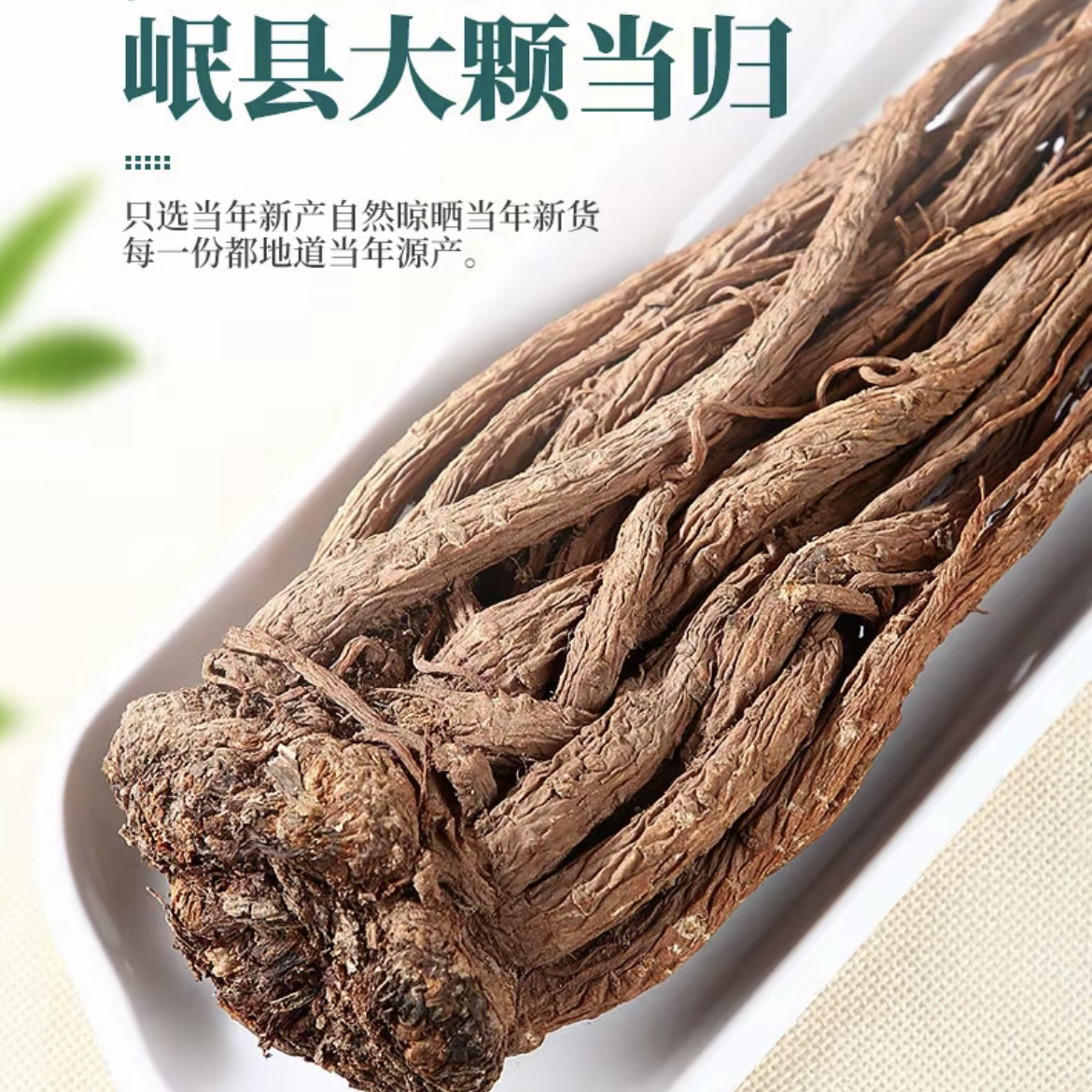 甘肃当归【正品保证】顺丰包邮【产地直发】整根无硫无添加500g