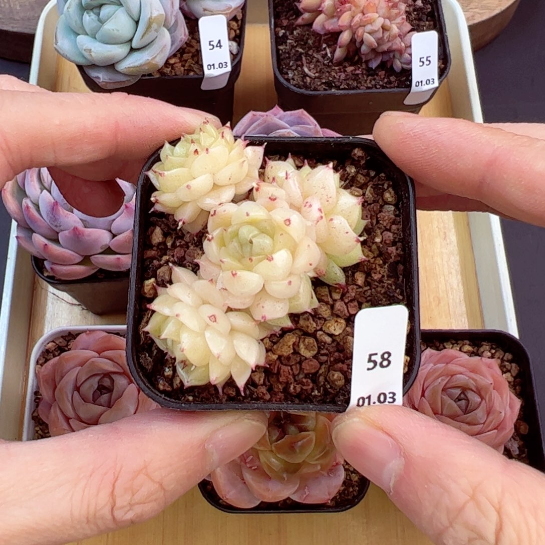 好好看58、哈哈哈哈