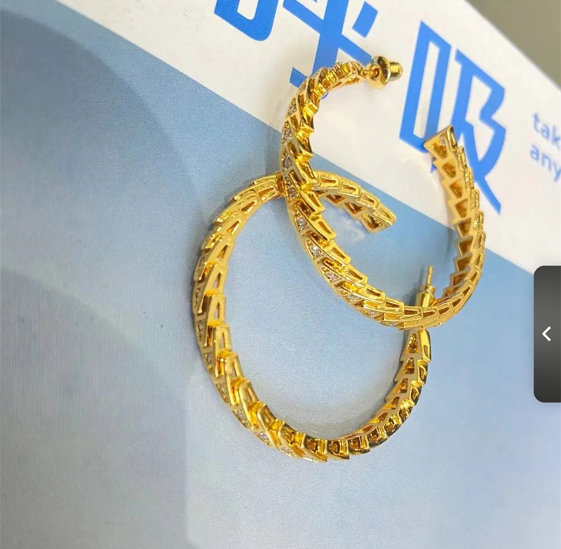 铜合金耳饰 【商场同款】2025新款高级感圆圈耳环耳钉耳饰品