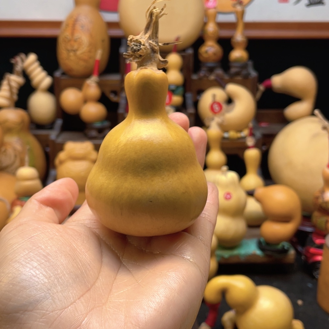 哒****袋大自然的秘密第十一节