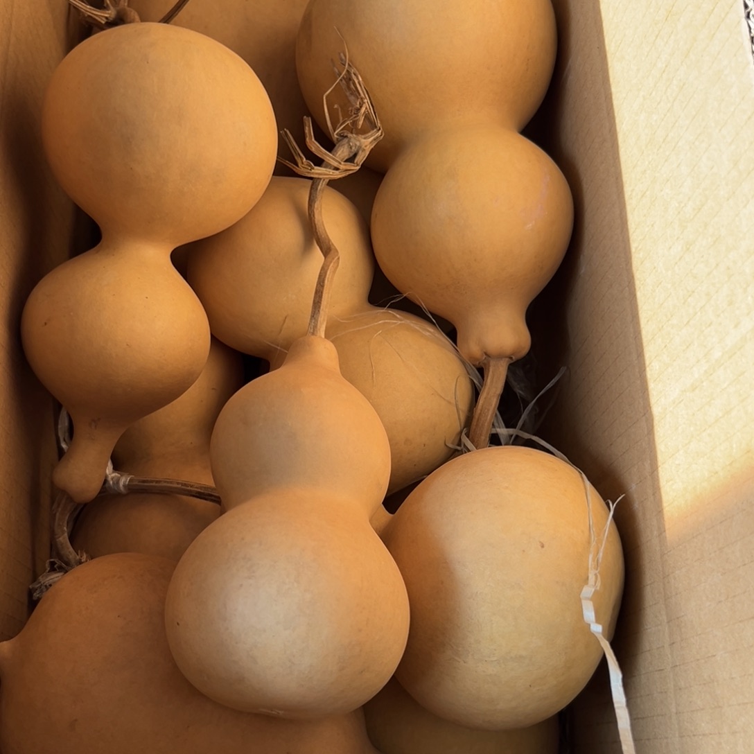 ****ω有机玻璃葫芦葫芦