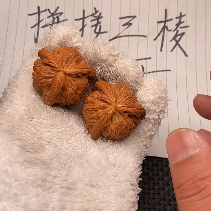 哇***帅核桃手串/手链白狮子4