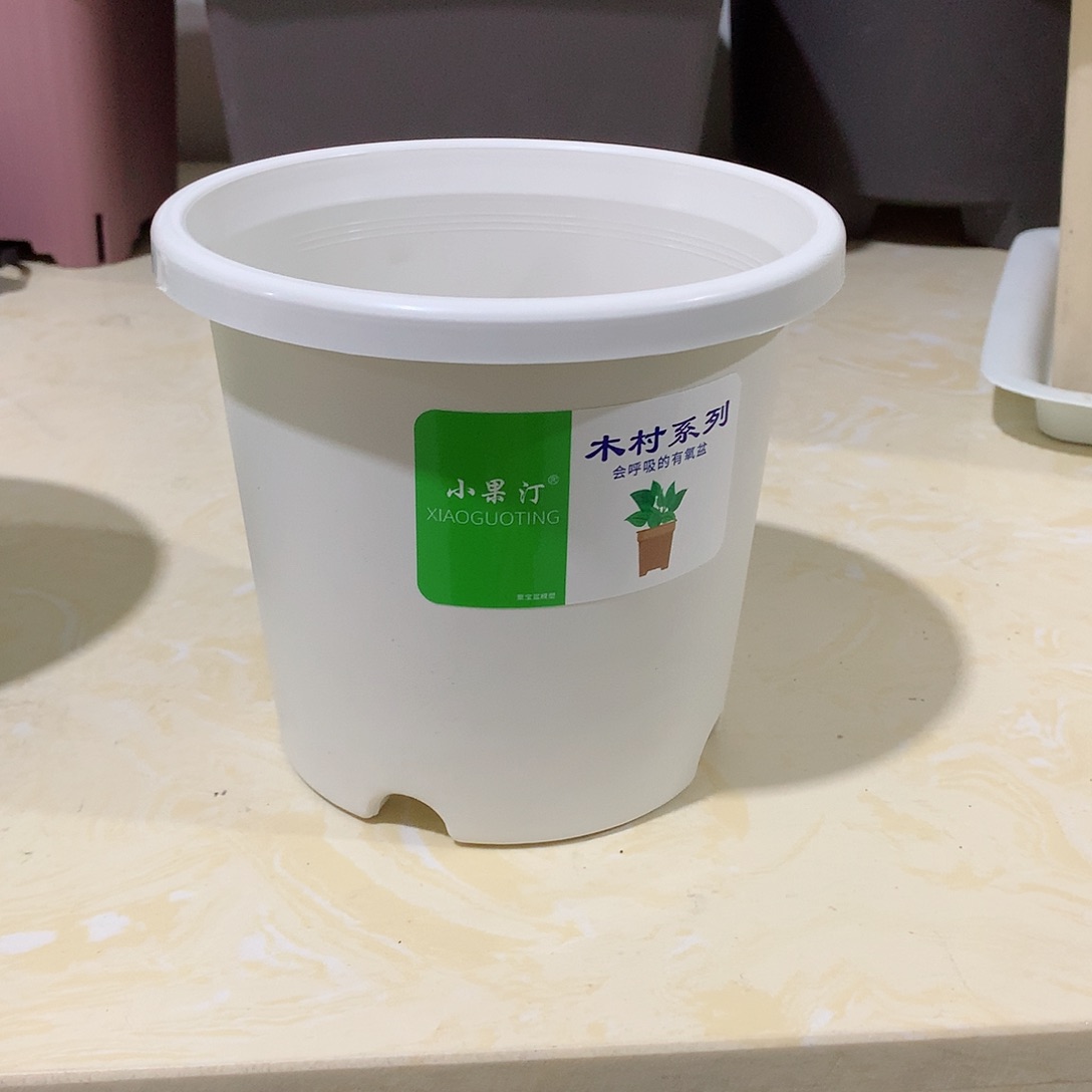 树脂四季口15白10个无托