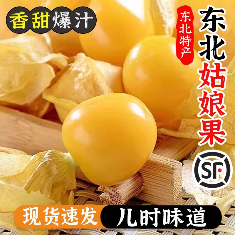 【顺丰包邮】姑娘果 奶香 灯笼果 新鲜水果 应季水果 东北黑土地