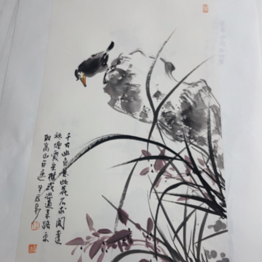 姜奇老师花鸟作品