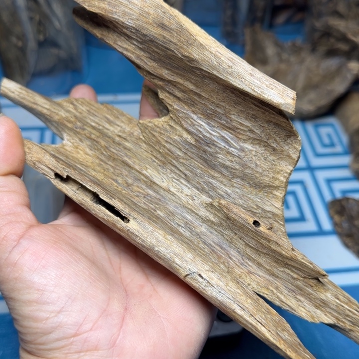 香粉绿奇陆河虫漏72克