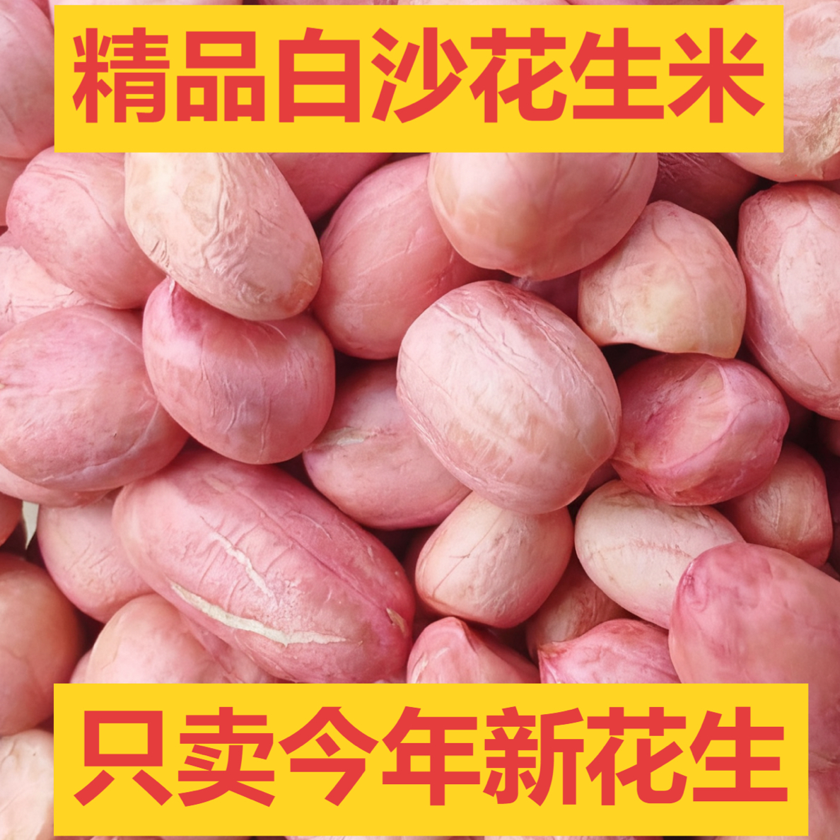 手工剥壳过筛人工精选大大颗粒花生米河南白沙新鲜正宗白沙花生