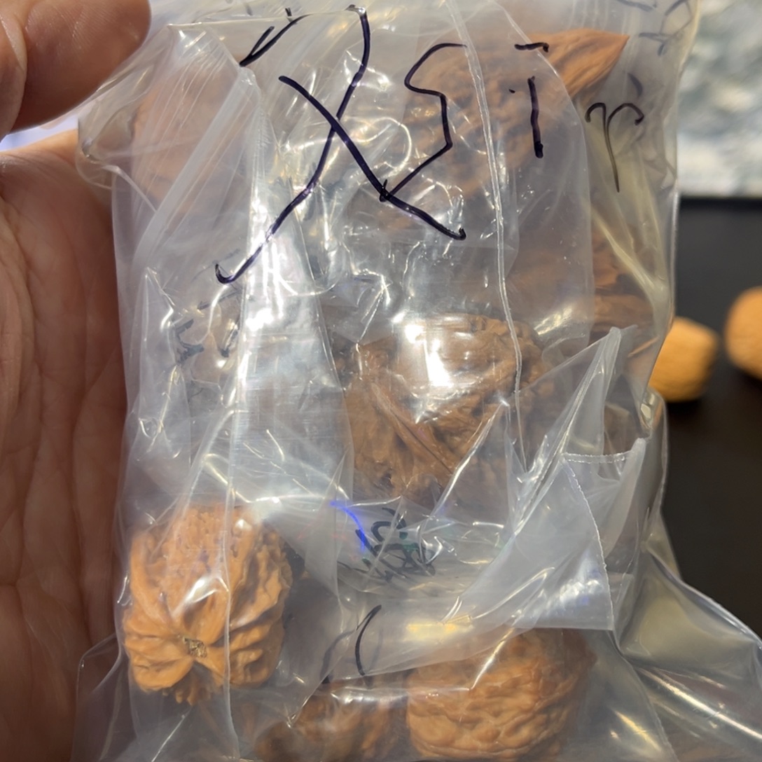 文玩核桃吊坠一物一拍不喜勿拍