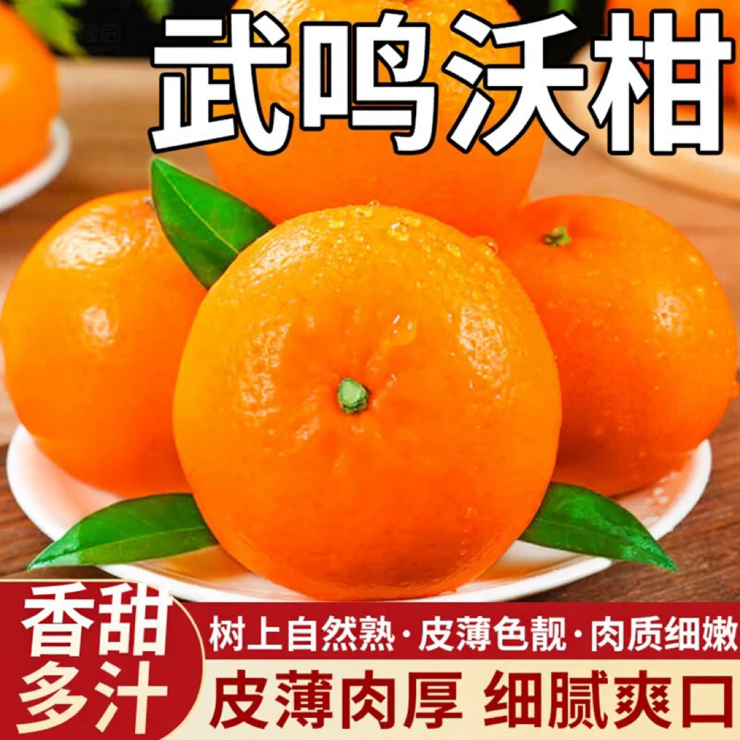 【果园现摘】广西武鸣沃柑现摘新鲜当季柑橘桔子水果皮薄多汁香甜