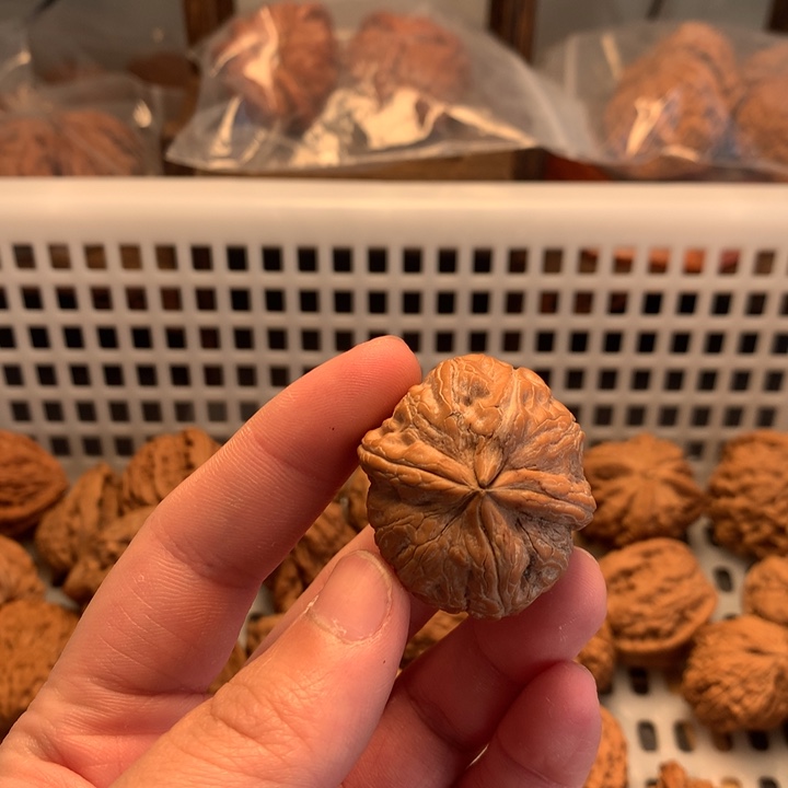 廣****把件文玩核桃元宝