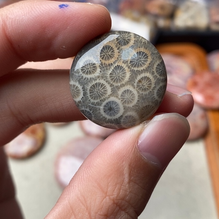 硅化玉颈饰未镶嵌豹*子