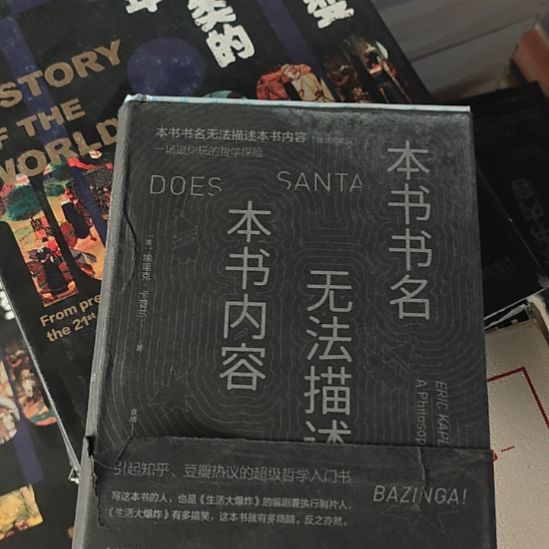 本书书名无法描绘本书内容，这。