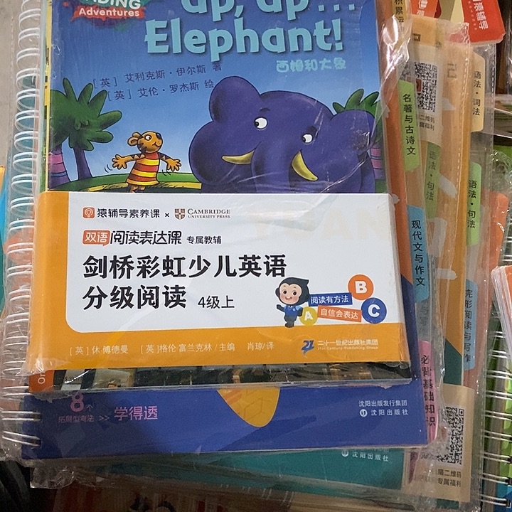猿辅导剑桥彩虹少儿英语分级阅读四级上