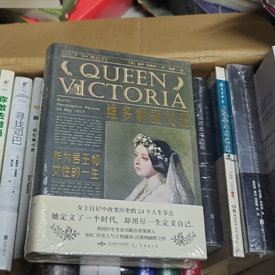 维多利亚女王精装，作为君王和女性的一生。