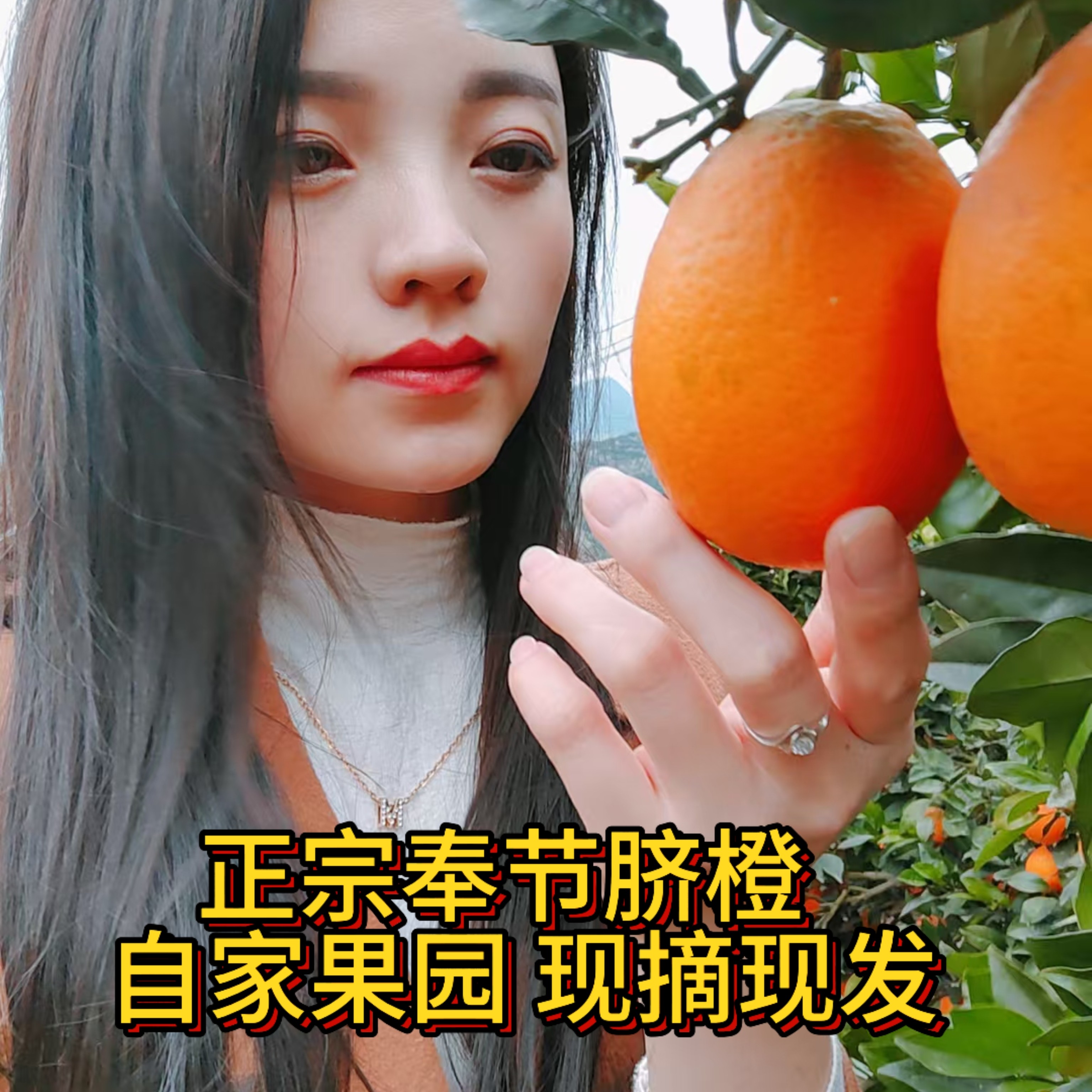 正宗奉节脐橙 产地直发 鲜果挂树 现摘现发不打蜡 不催熟多汁脆甜