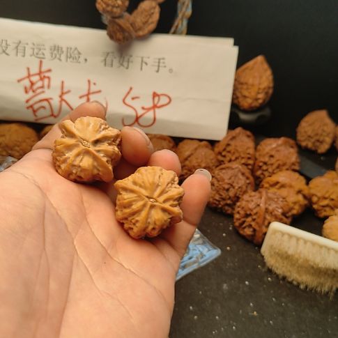 清***麦文玩核桃直播中小众