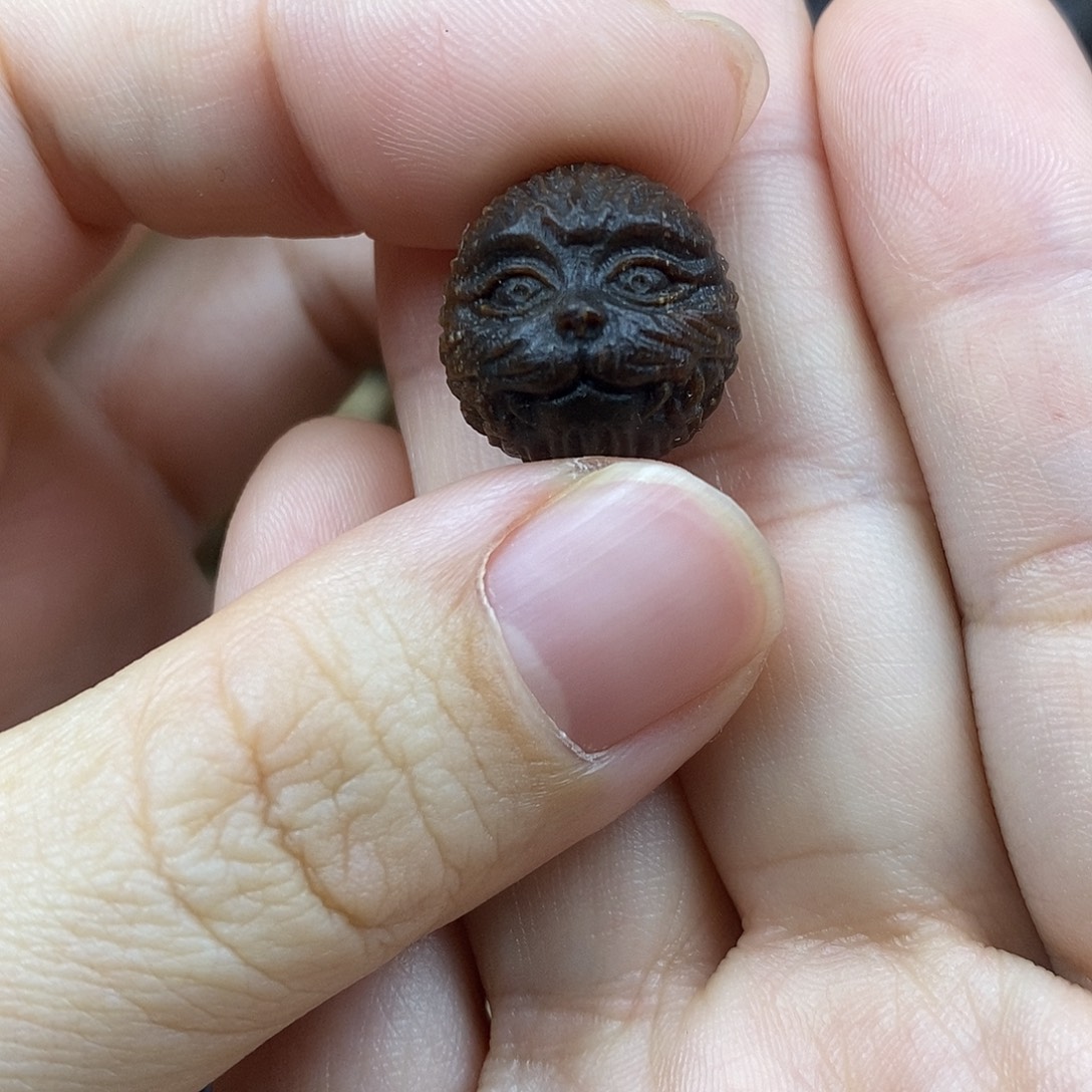 手串/手链贡木1.7巴布亚新几内亚贡