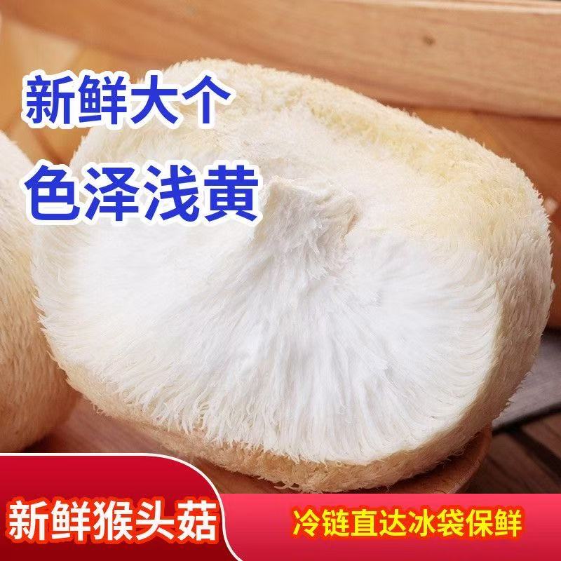 干货精品猴头菇农家