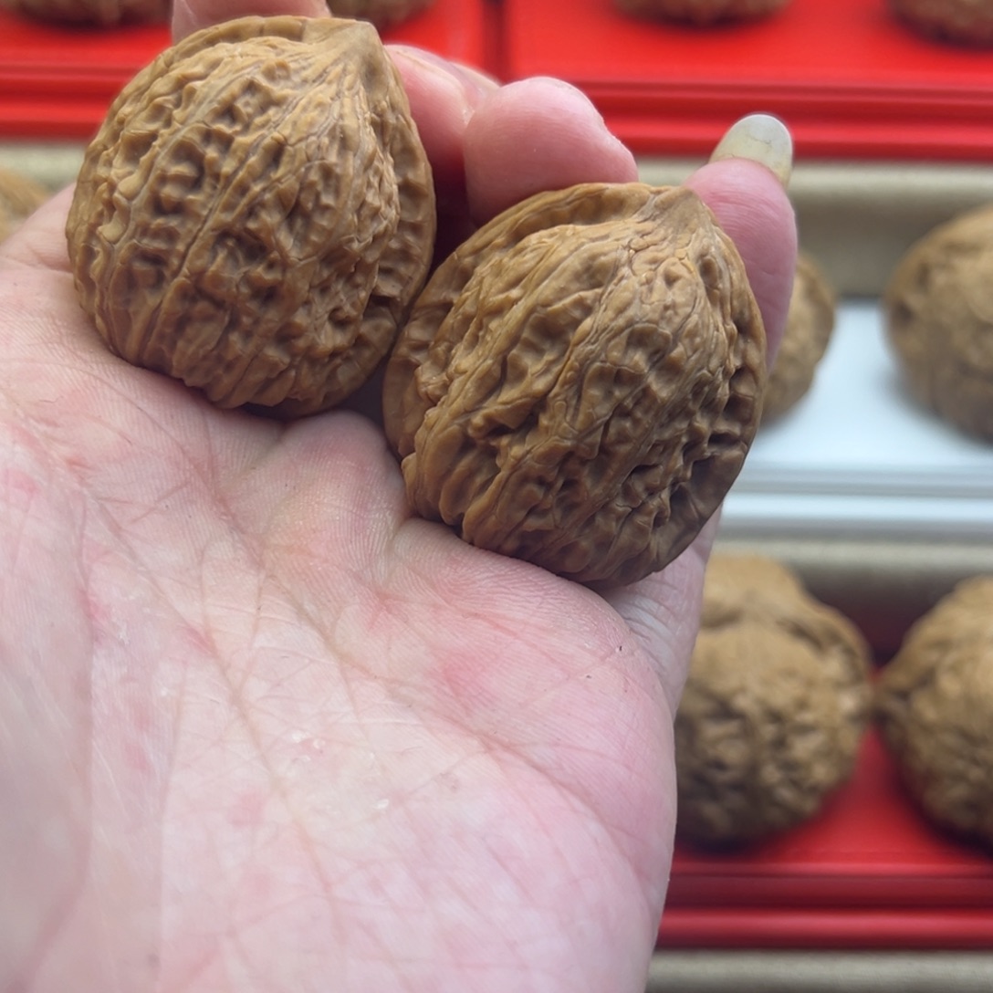 核桃其他35全品野生涯樽