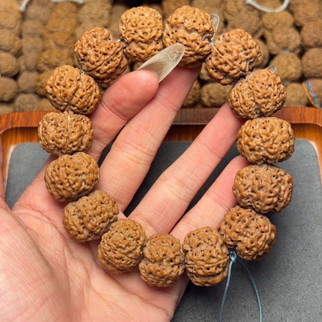 菩提10号尼泊尔大金刚21针孔蜂窝