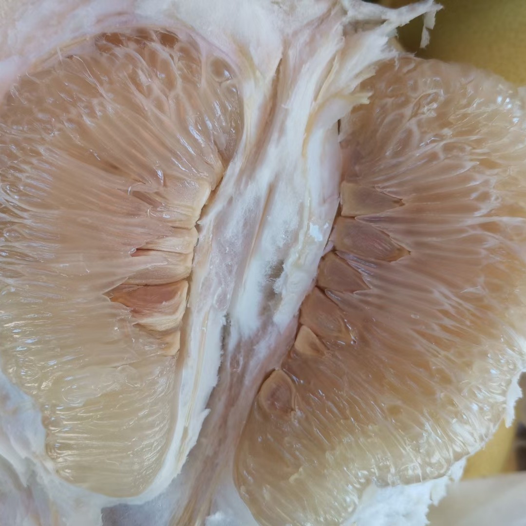 新鲜现货广西特产容县自良水果柚子大果袋装蜜柚甜微酸脆口