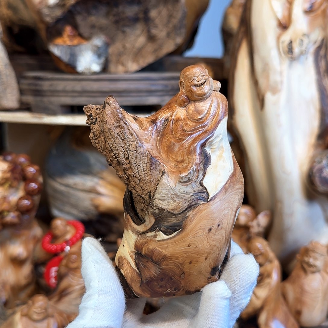 柏木（崖柏）666666666