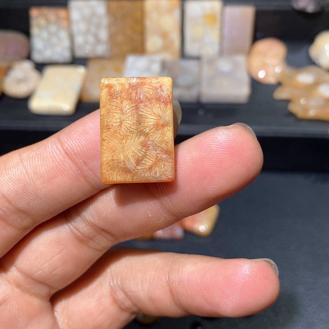 【闪购商品】硅化玉颈饰未镶嵌