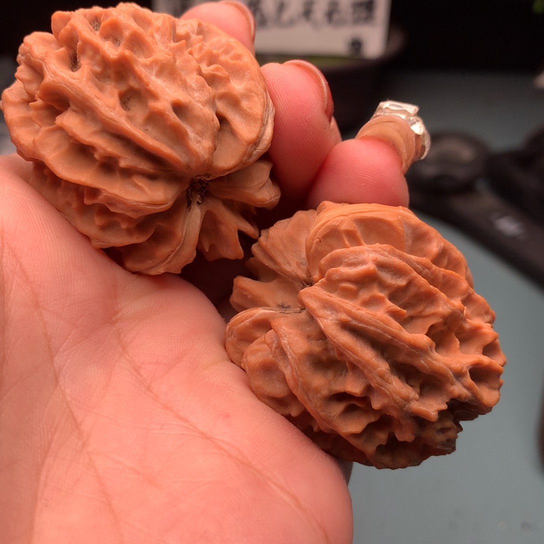 文玩核桃把件菩**刚曹大龙29