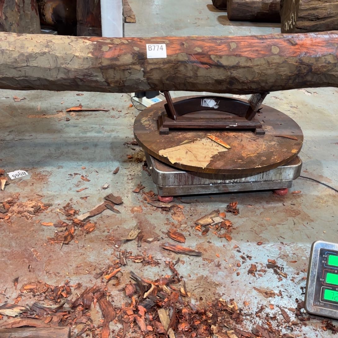 一物一拍血檀编码774