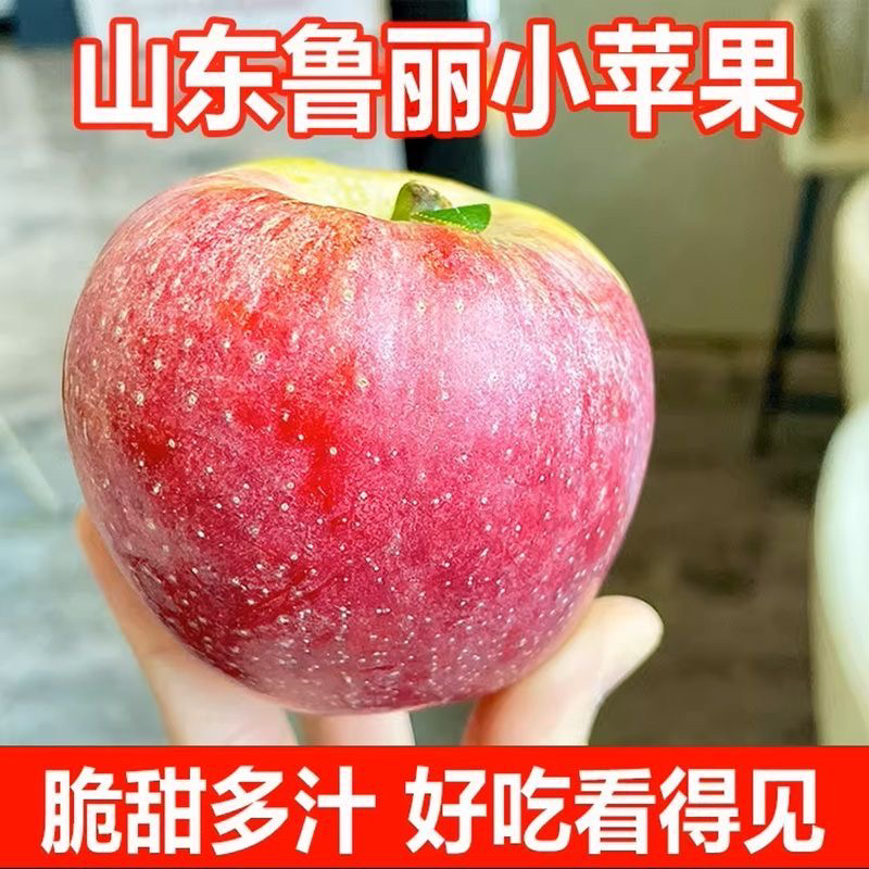 山东鲁丽小苹果现摘现发清甜爽脆当季新鲜水果