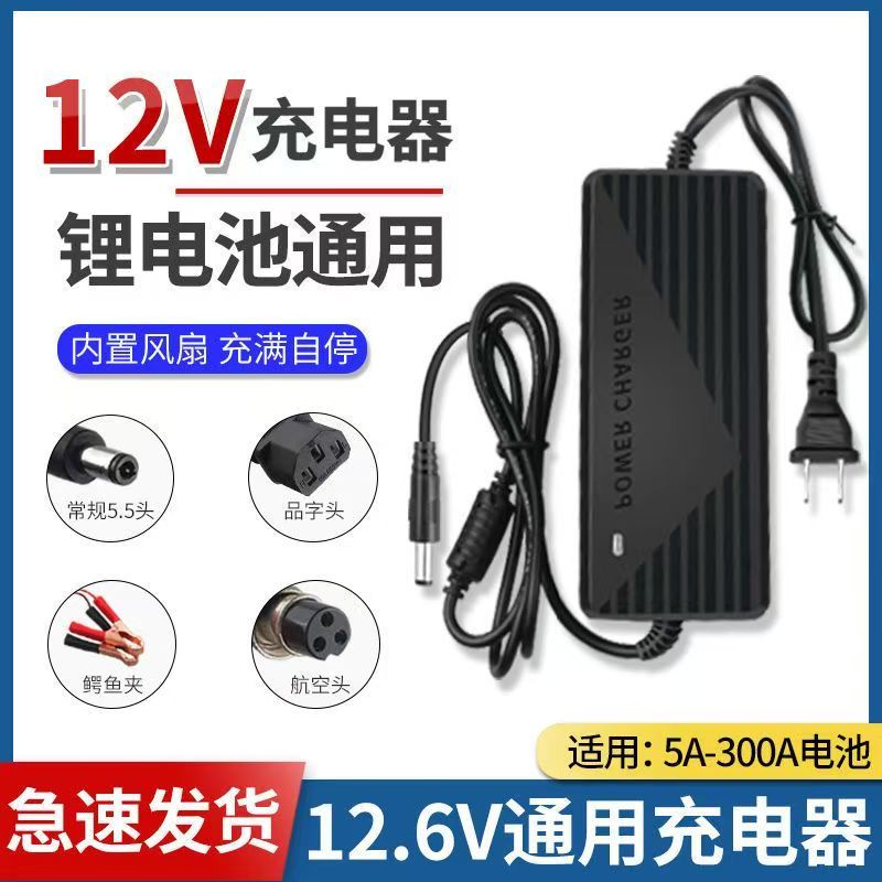 12V锂电池一体机充电器12.6V2A5A8A10A三元聚合物18650组快充