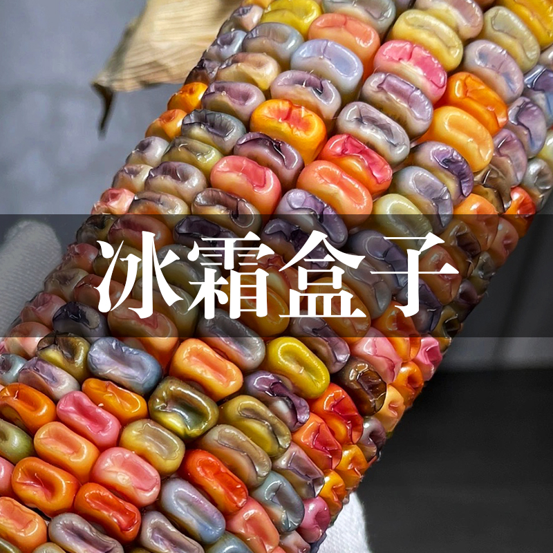 【冰霜盒子】直播间一物一拍