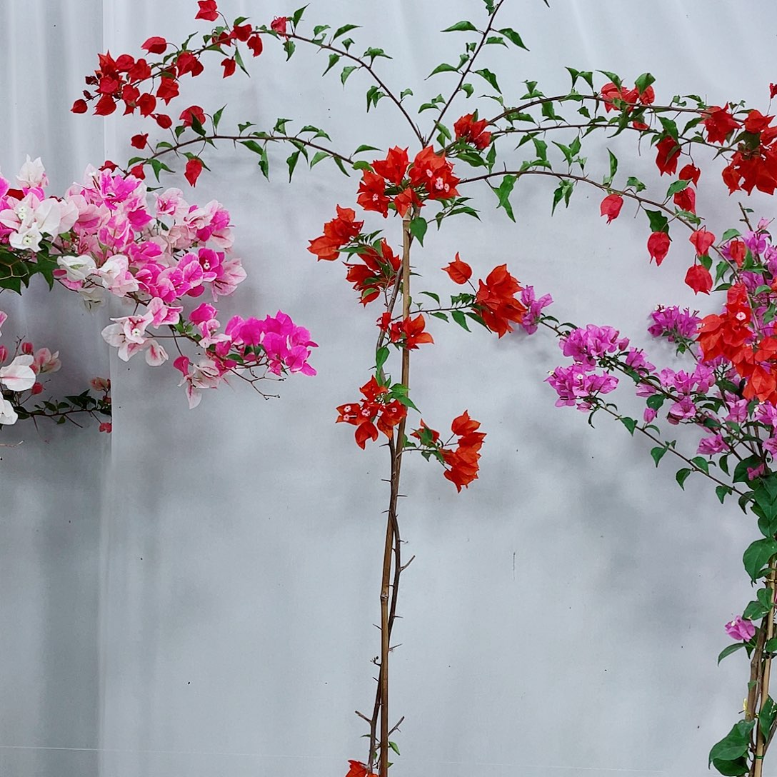 完全开放这里可以