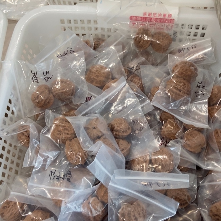 吊坠文玩核桃崔凯