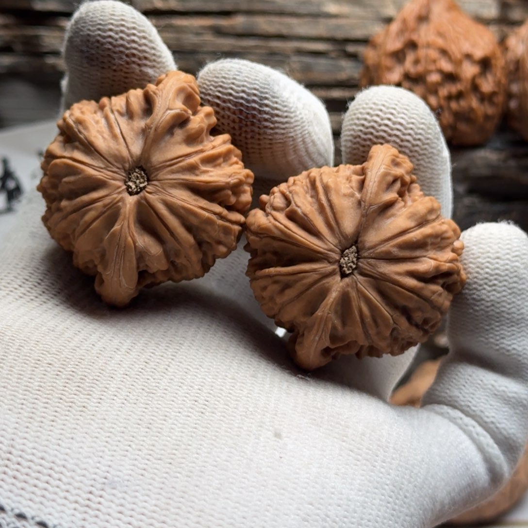 文玩核桃吊坠8888