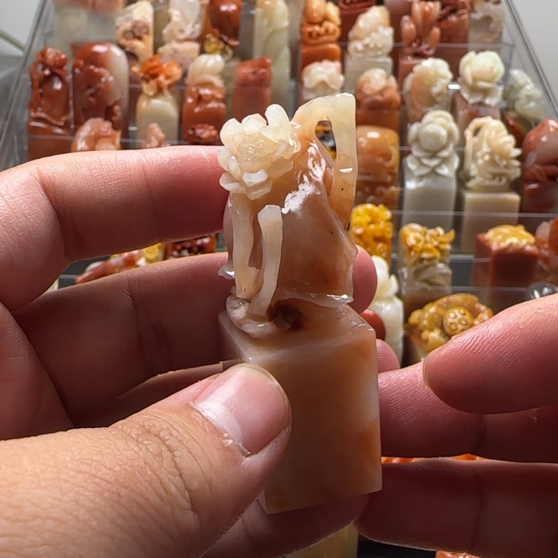 老挝石荷花  2.2×6.7