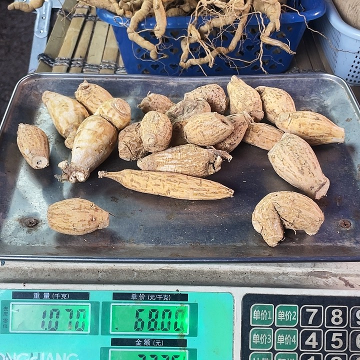 中国大陆甘草牛泡酒煲汤