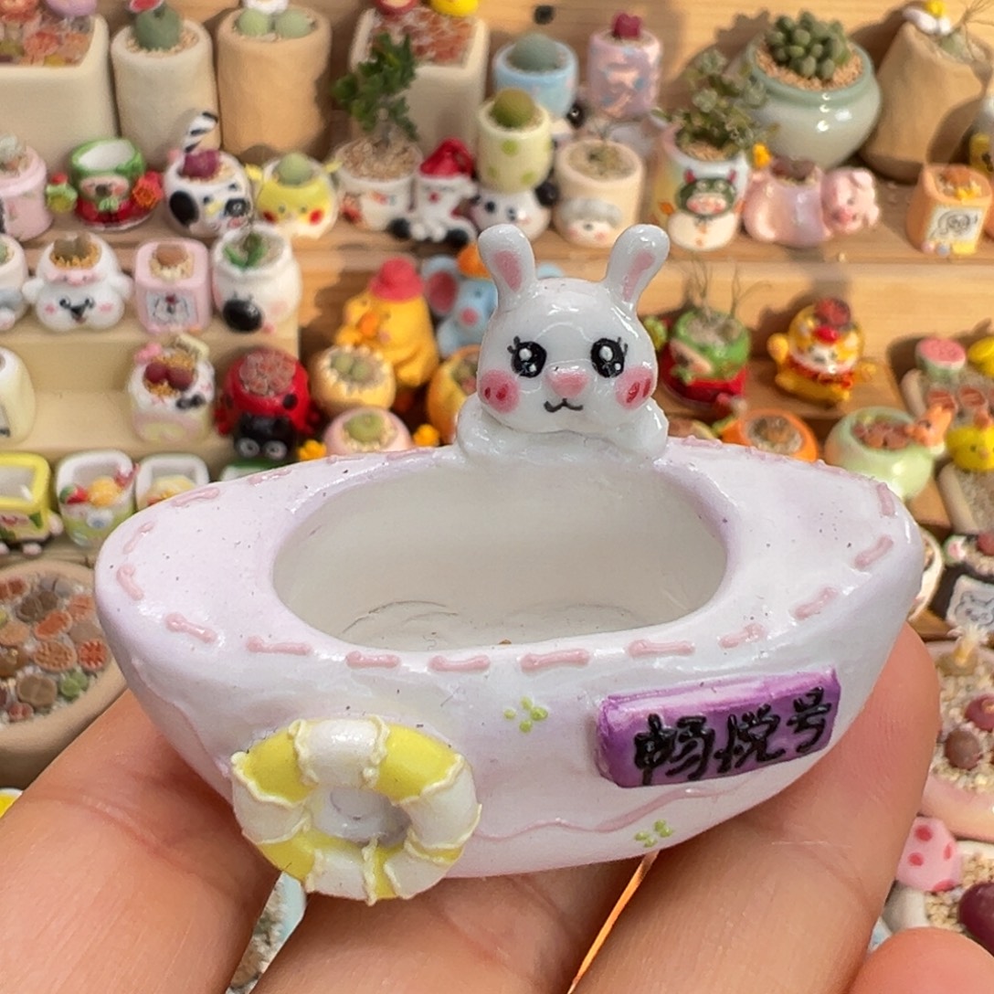 爱***）多肉植物22号种粉绿橙毛汉尼