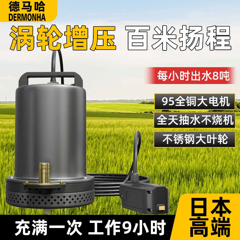 德马哈6分管抽水泵充电式潜水泵浇菜大功率浇水浇菜地户外农用泵