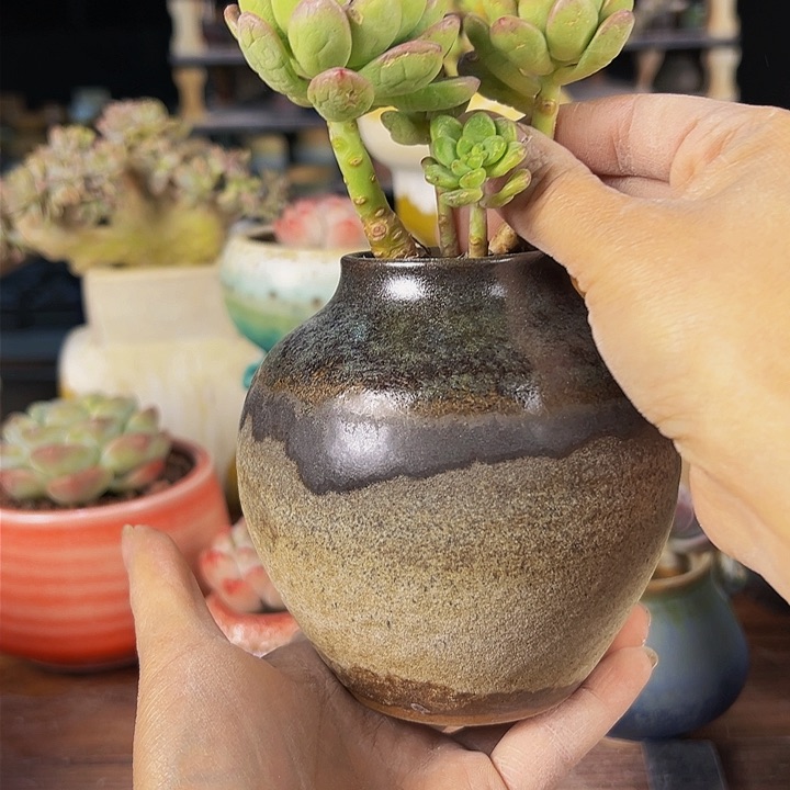 景德镇陶瓷2单包邮