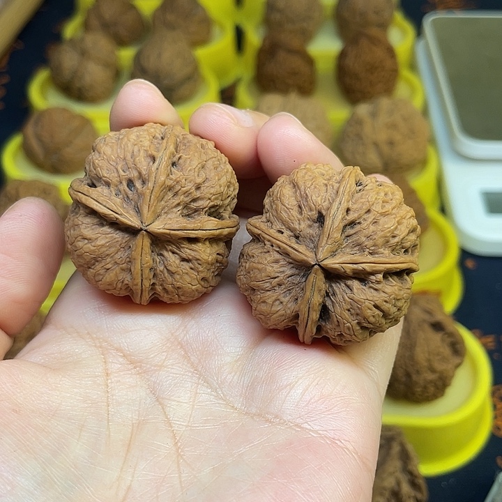 文玩核桃把件28、老核桃38