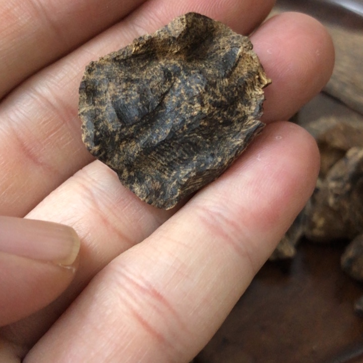 沉香木制品沉香海南沉香 沉水 重3.24克