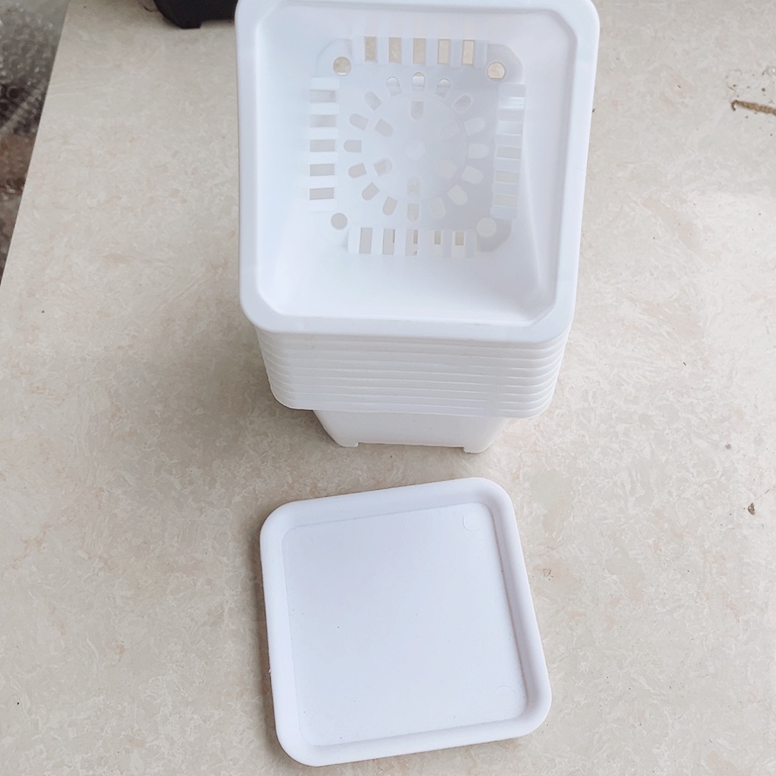塑料福利款口9高7白方盆20个带托盘