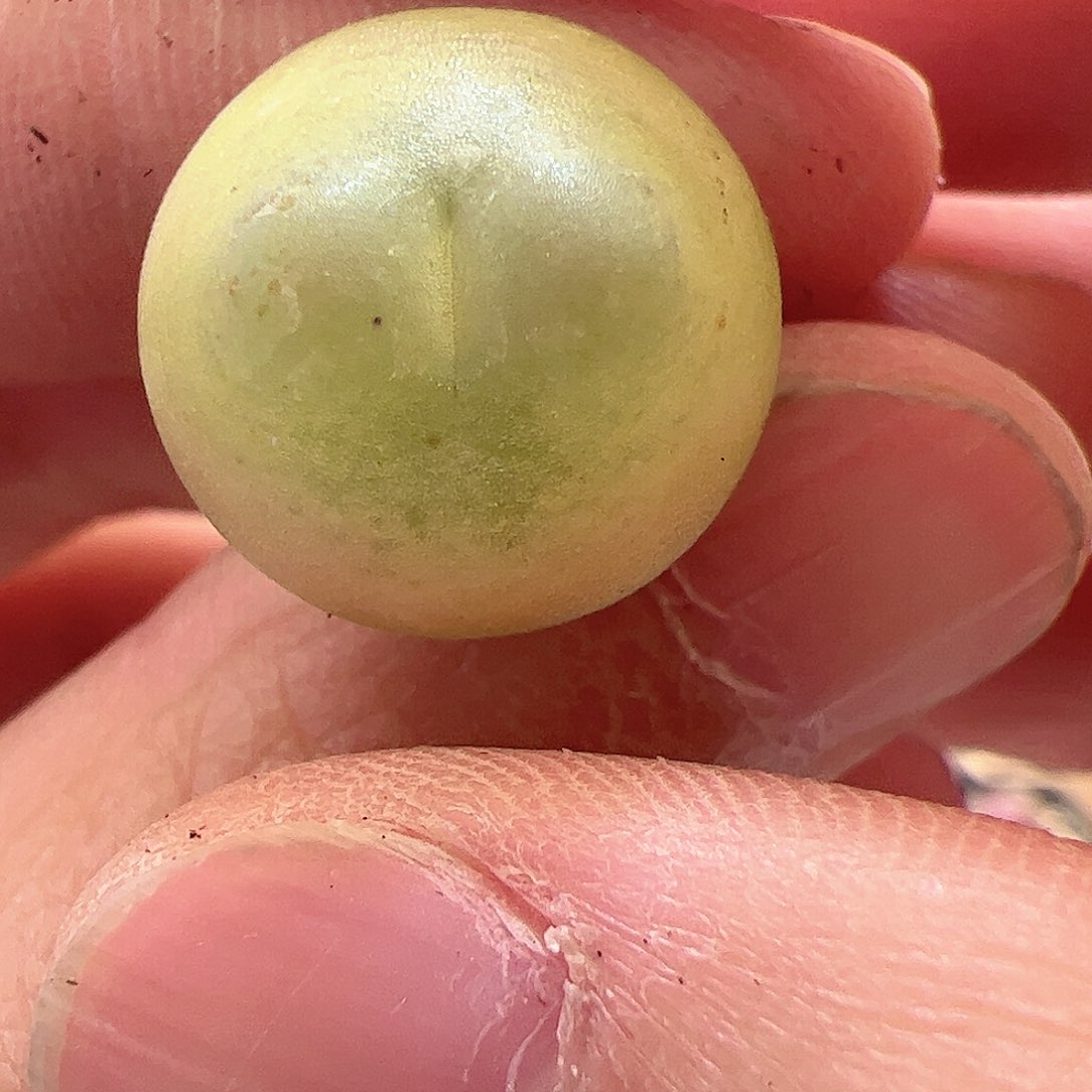 【闪购商品】228 瑕疵福利