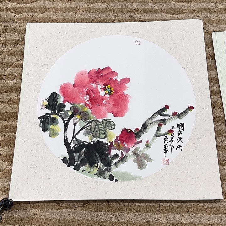 国画花鸟的翅膀和翅膀是50.50