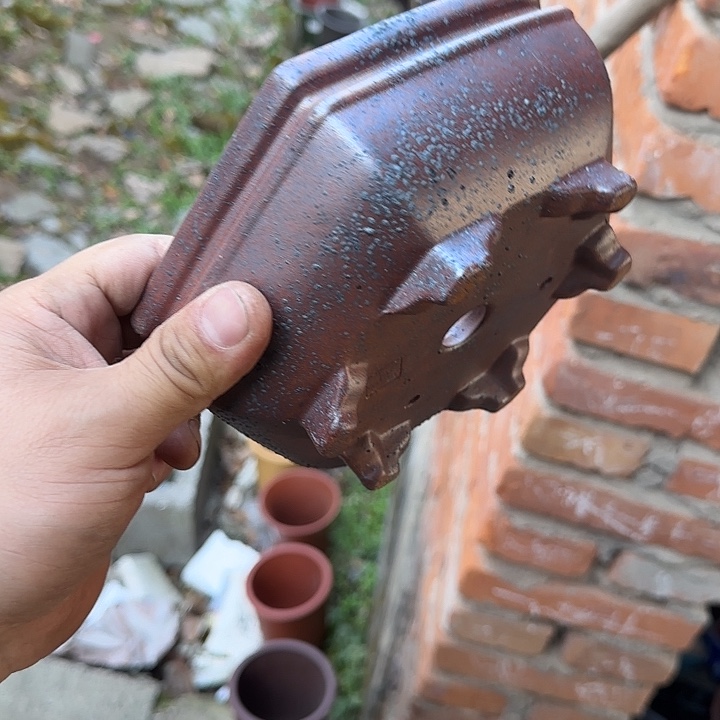 在我眼看的时候就是最好看和我说话我不