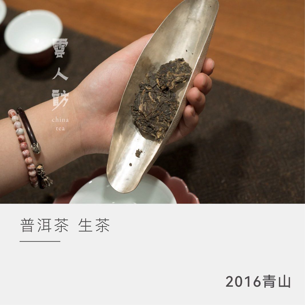【2016 青山】易武  头春 古树 普洱生茶 云人访甄选